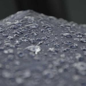 Community gallery image picsum10