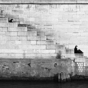 Community gallery image picsum12