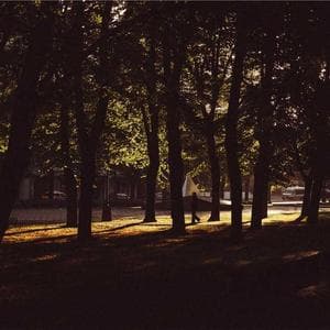 Community gallery image picsum14