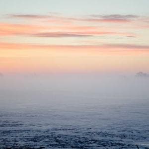 Community gallery image picsum4